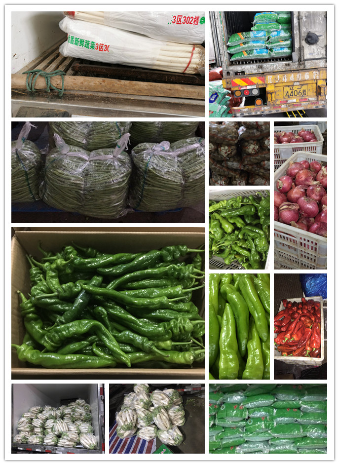 首页- 人生就是博中国官方网站