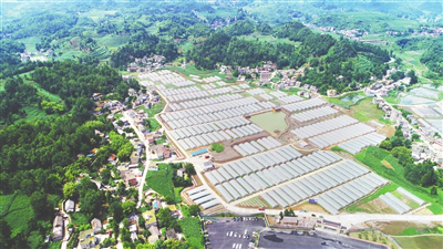 首页- 人生就是博中国官方网站