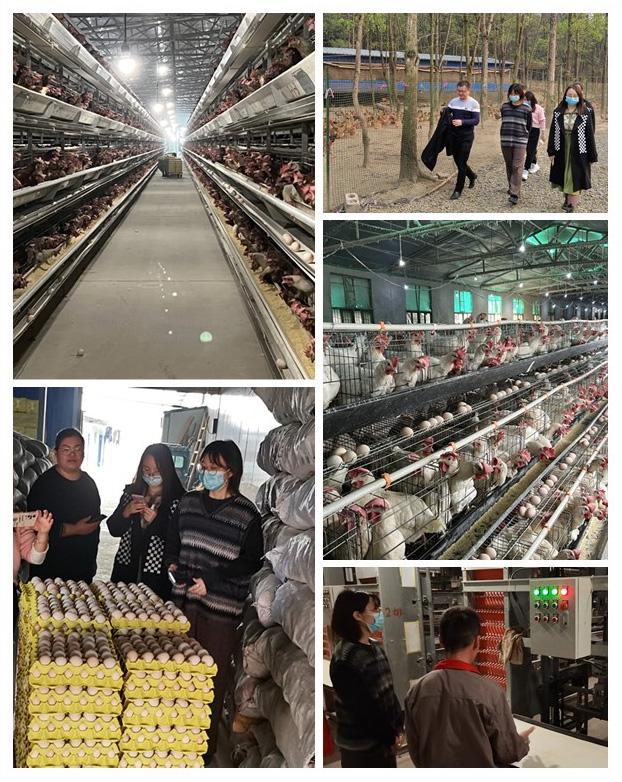 首页- 人生就是博中国官方网站