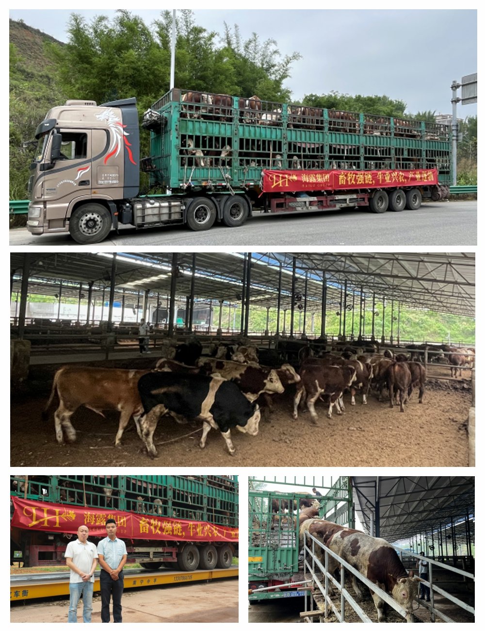 首页- 人生就是博中国官方网站