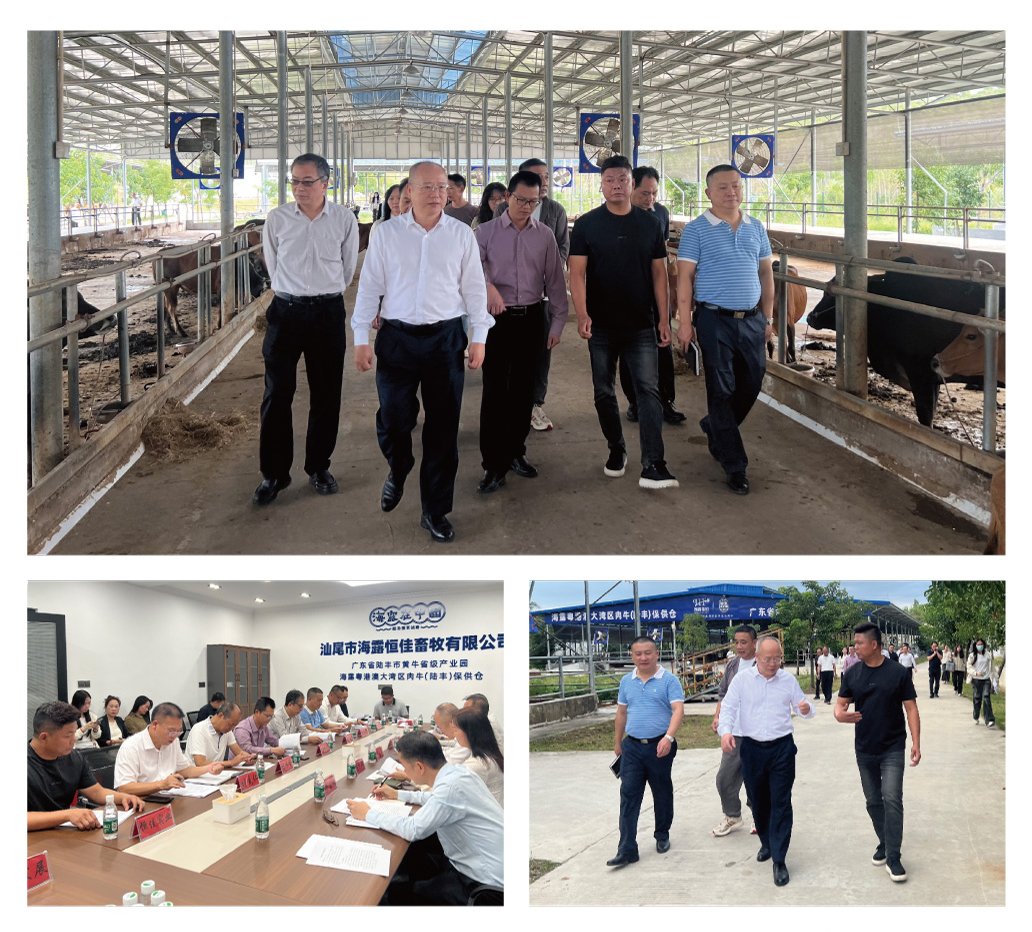 首页- 人生就是博中国官方网站